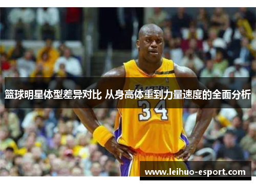 篮球明星体型差异对比 从身高体重到力量速度的全面分析