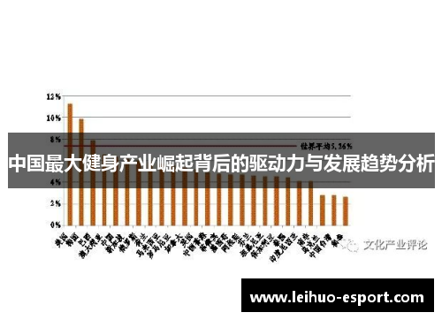 中国最大健身产业崛起背后的驱动力与发展趋势分析